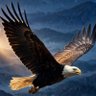 Profilbild von Eagle 🦅