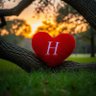 H❤M profil fotoğrafı