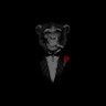 Profilbild von PythonHugs