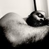Profilbild von thick theorist & writer