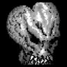 kuti's profile picture