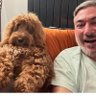 G.F.O doc profil fotoğrafı