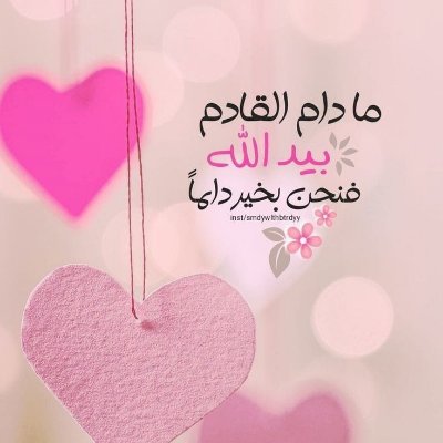 IraqShams2's profile picture