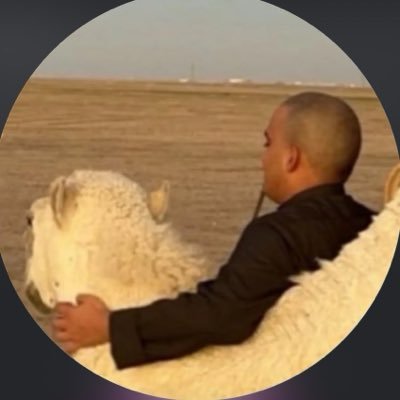 ALsQree's profile picture