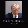 1776AmericanPatriot🇺🇸🍊 的头像