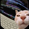حسان | بطل النخبتين profil fotoğrafı