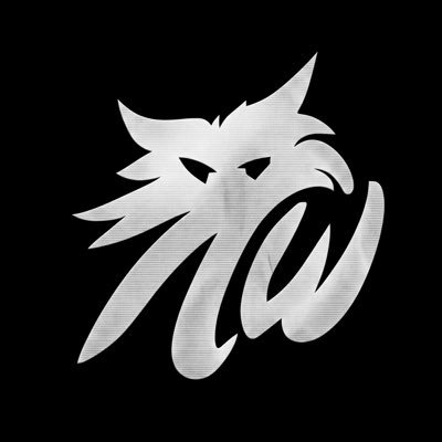 ИODAWOLF's profile picture