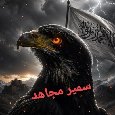 samirmujahid1's profile picture