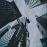 Фото профиля مهند الشملاني