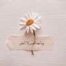 Фото профиля غادة