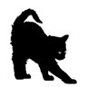 Muff's profile picture