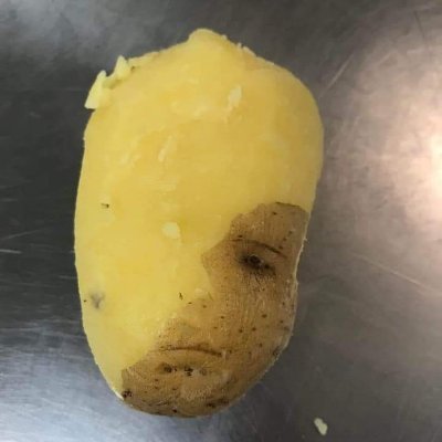 ChitScouse's profile picture