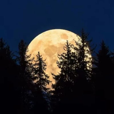 ADISARKERxm's profile picture