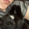 vivi 的头像