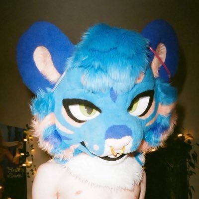 Teo 🦋's profile picture