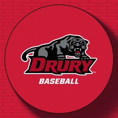 DRURY BASEBALL's profile picture