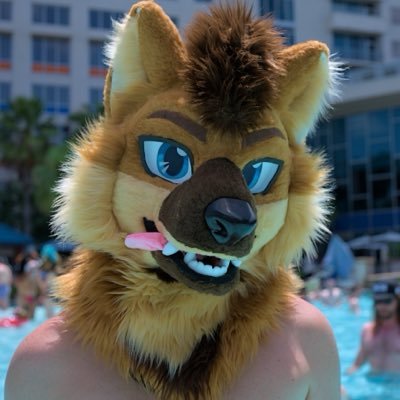 HeWhoRoarks's profile picture