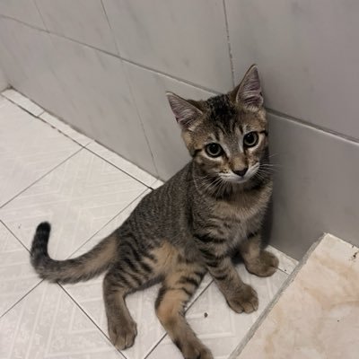 zeusp_'s profile picture