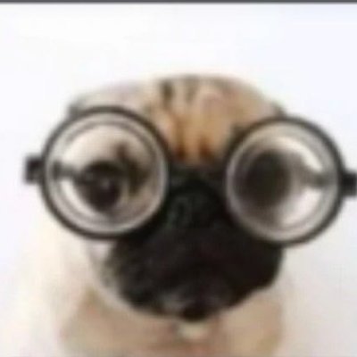 ᴀʟᴇᴊᴏ's profile picture