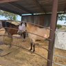 Barrtm profil fotoğrafı
