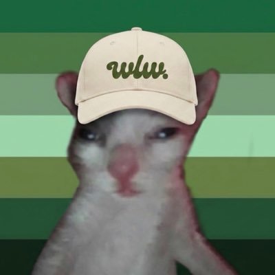gigi_ceo_do_wlw's profile picture