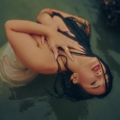 TheRavenLynette's profile picture