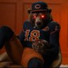 Фото профиля TheBearsBurner