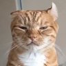 Profilbild von Enkiidu