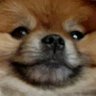 Profilbild von GERMAMA