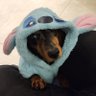 Profilbild von Pai da Ferpa