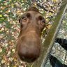 coobert's profile picture