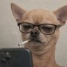 Profilbild von Nope