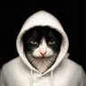 Profilbild von Catαραμένος