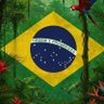 Cinara De Bem 🇧🇷🇮🇱🇺🇲 profil fotoğrafı