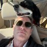 Peter Harrigan's profile picture