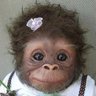 Koubarobebeka©🐒🦍🦧 的头像