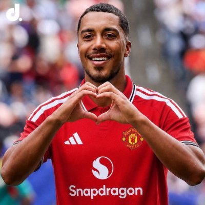 Youri Tielemans's profile picture