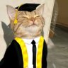 🎓| 🩺RN.Shatha 的头像