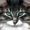 Фото профиля Kat Acts