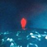 yzycndy's profile picture
