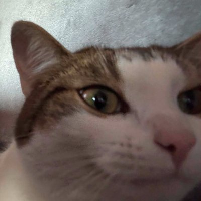 BartekK349090's profile picture