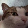 Profilbild von BartekDev