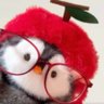jเจล 🍎✨'s profile picture