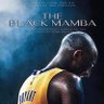 ๐MAMBA๐ ็ๅคดๅ