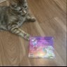 Graduation Cat 的头像