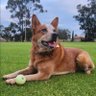 luke.bmnr's profile picture