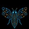 Profilbild von fly