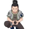 龙海's profile picture
