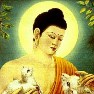 kdu 🌼's profile picture