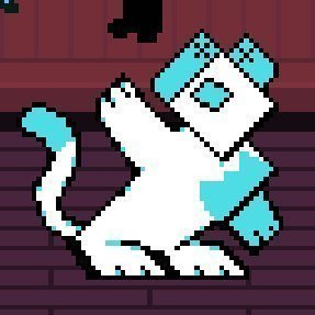 swagkittycatz's profile picture